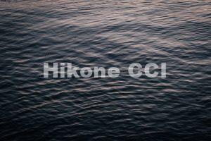 DSCF3022